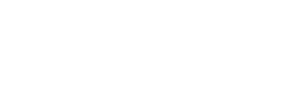TransAndrade
